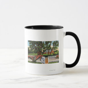 Mug Vue d'une demeure pittoresque