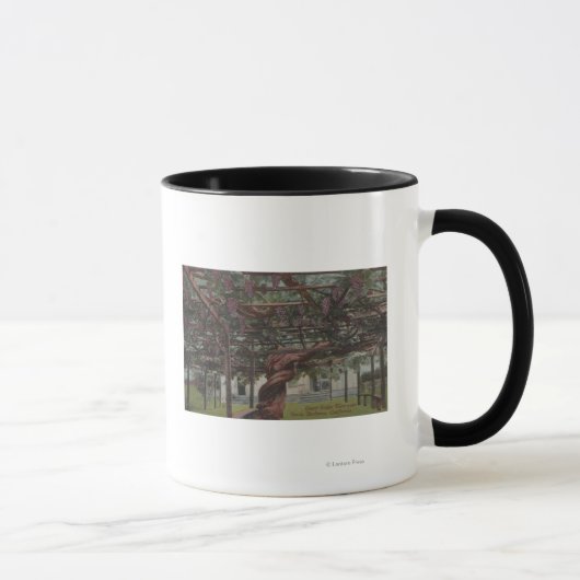 Mug Vue d'une vigne géante (Droite)