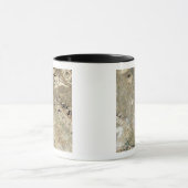 Mug Vue satellite de Persepolis (Centre)