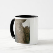 Mug Vue satellite du paysage du centre de Mexi (Devant gauche)