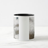 Mug Vue satellite d'une tempête hivernale sévère (Centre)