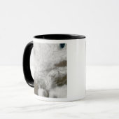 Mug Vue satellite d'une tempête hivernale sévère (Devant gauche)