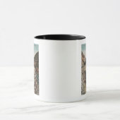 Mug Vue sur Box Canon Train (Centre)