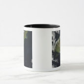 Mug Vue sur la plus grande partie de l'île sud de Nouv (Centre)