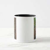 Mug Vue sur le chaos Ausable de la grotte de Hyde (Centre)