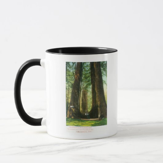 Mug Vue sur Redwood Twins à Big Tree Grove (Gauche)