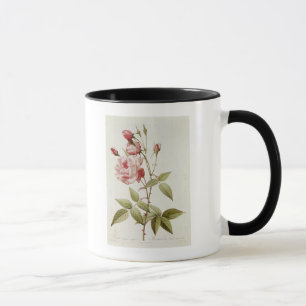 Mug Vulgaris indica de Rosa, des 'roses de Les