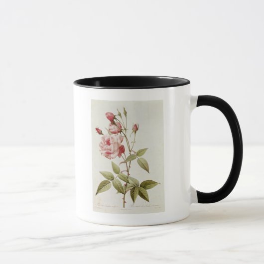 Mug Vulgaris indica de Rosa, des 'roses de Les (Droite)