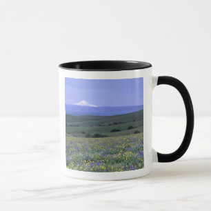 Mug WA, comté de Klickitat, Dalles Mountain Ranch,