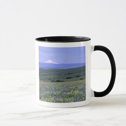 Mug WA, comté de Klickitat, Dalles Mountain Ranch, (Droite)