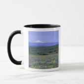 Mug WA, comté de Klickitat, Dalles Mountain Ranch, (Gauche)