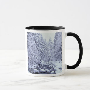 Mug WA, forêt nationale du Mont Baker-Snoqualmie,