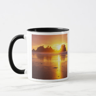Mug WA, parc national Olympique, plage Shi Shi au couc