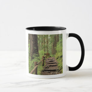 Mug WA, parc national olympique, vallée de Sol Duc, fo
