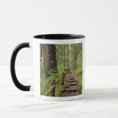 Mug WA, parc national olympique, vallée de Sol Duc, fo (Gauche)