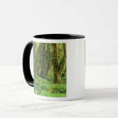 Mug WA, Pôle olympique, forêt de Quinault, mousse (Devant gauche)