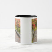 Mug WA, Seattle, arboretum du Washington Park, (Centre)