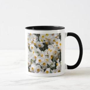 Mug WA, Skagit Valley, motif Daffodil