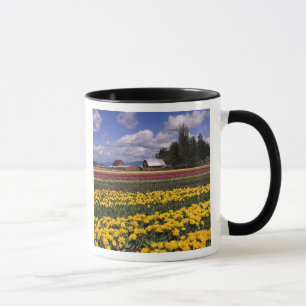 Mug WA, Skagit Valley, Skagit Valley Tulip