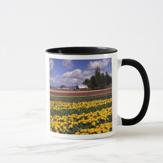 Mug WA, Skagit Valley, Skagit Valley Tulip (Droite)