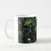 Mug Walking in the Forest, Chester, Caroline du Sud Ca (Gauche)