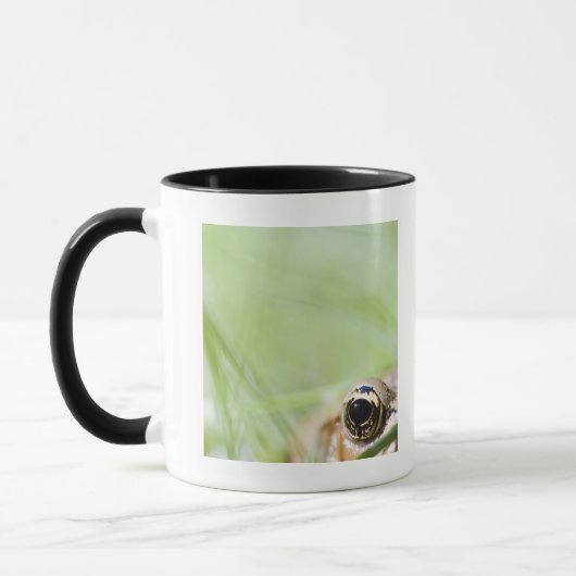 Mug Washington, Etats-Unis (Gauche)