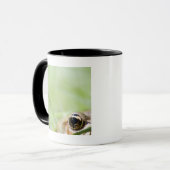 Mug Washington, Etats-Unis (Devant gauche)
