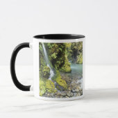 Mug Washington, Olympic National Park, saison (Gauche)