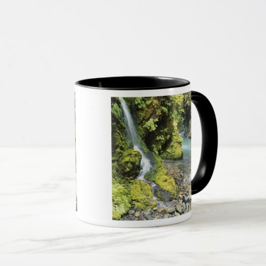 Mug Washington, Olympic National Park, saison (Devant droit)