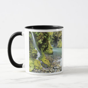 Mug Washington, Parc national Olympique, Saisonnière