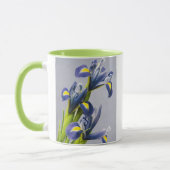 Mug Washington, Redmond, Iris violets (Gauche)