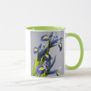 Mug Washington, Redmond, Iris violets