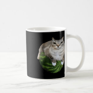 Mug Watermelon Cat Silly Cat Meme