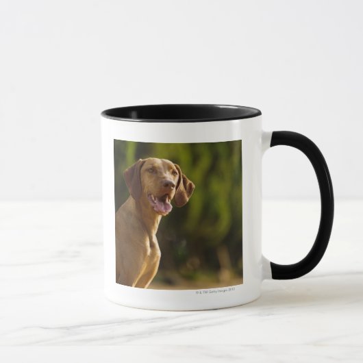 Mug Weimaraner (Droite)