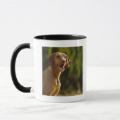 Mug Weimaraner (Gauche)