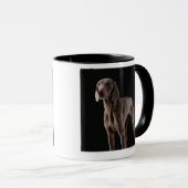 Mug Weimaraner, tir de studio (Devant droit)