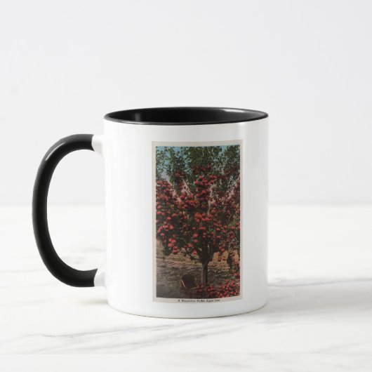 Mug Wenatchee, WAA Wenatchee Valley Apple Tree (Gauche)