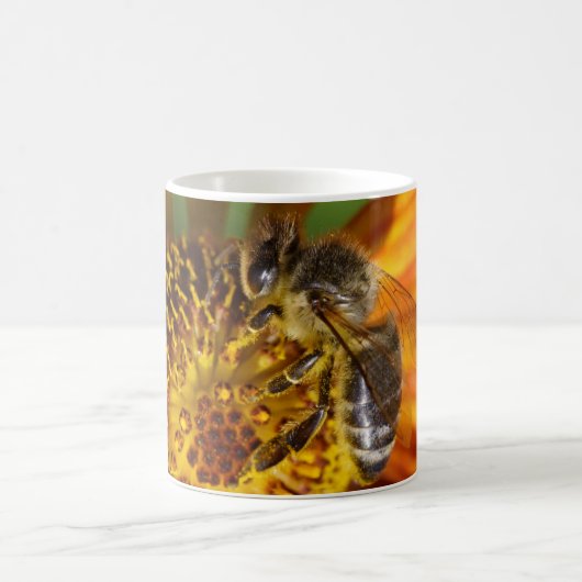 Mug Western Honey Bee Macro photo (Centre)