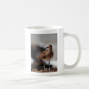 Mug Whimbrel