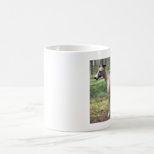 Mug whippet (Centre)