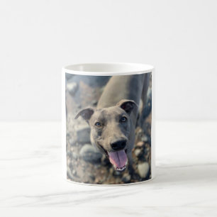 Mug - Whippet bleu souriant
