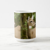 Mug White Tailed (Centre)