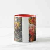 Mug Whitetail En Automne (Centre)