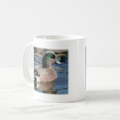 Mug Widgeon américain Drake (Devant gauche)