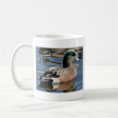 Mug Widgeon américain Drake (Gauche)
