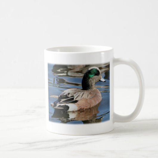 Mug Widgeon américain Drake (Droite)