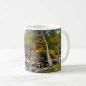 Mug Wild and Wonderful West Virginia Babcock Park (Devant droit)
