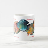 Mug Wild Discus (Centre)