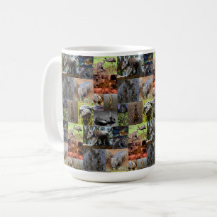 Mug Wild Wonders : Captivant Australian Photo Collage