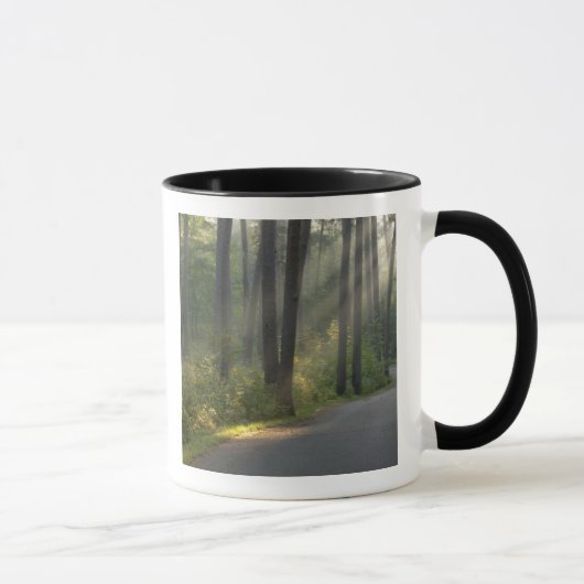 Mug Wilderness Drive, Itasca State Park, (Droite)